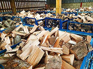 logs