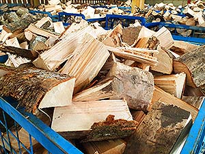 logs